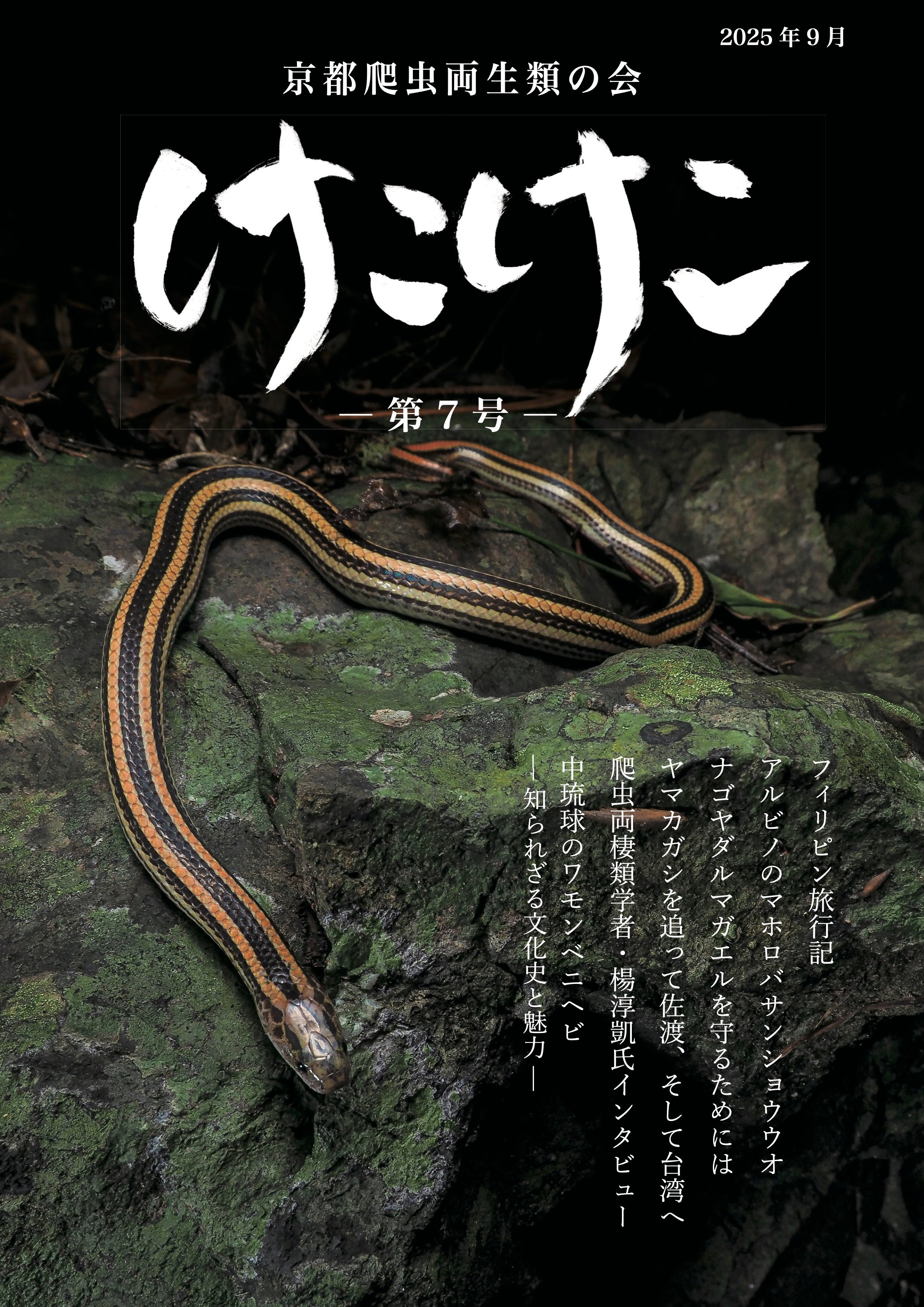 爬虫両棲類雑誌 けこけこ第7号(印刷版)