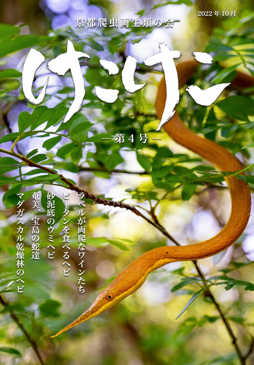 爬虫両棲類雑誌 けこけこ第4号 (PDFダウンロード）