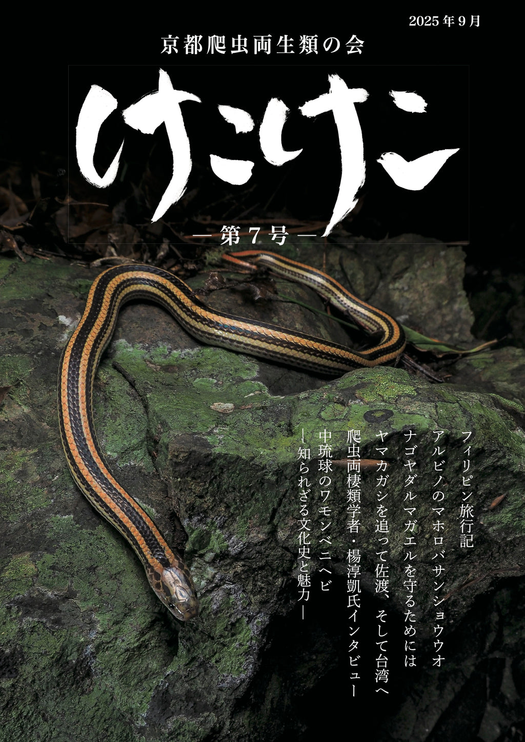 爬虫両棲類雑誌 けこけこ第7号（印刷版）