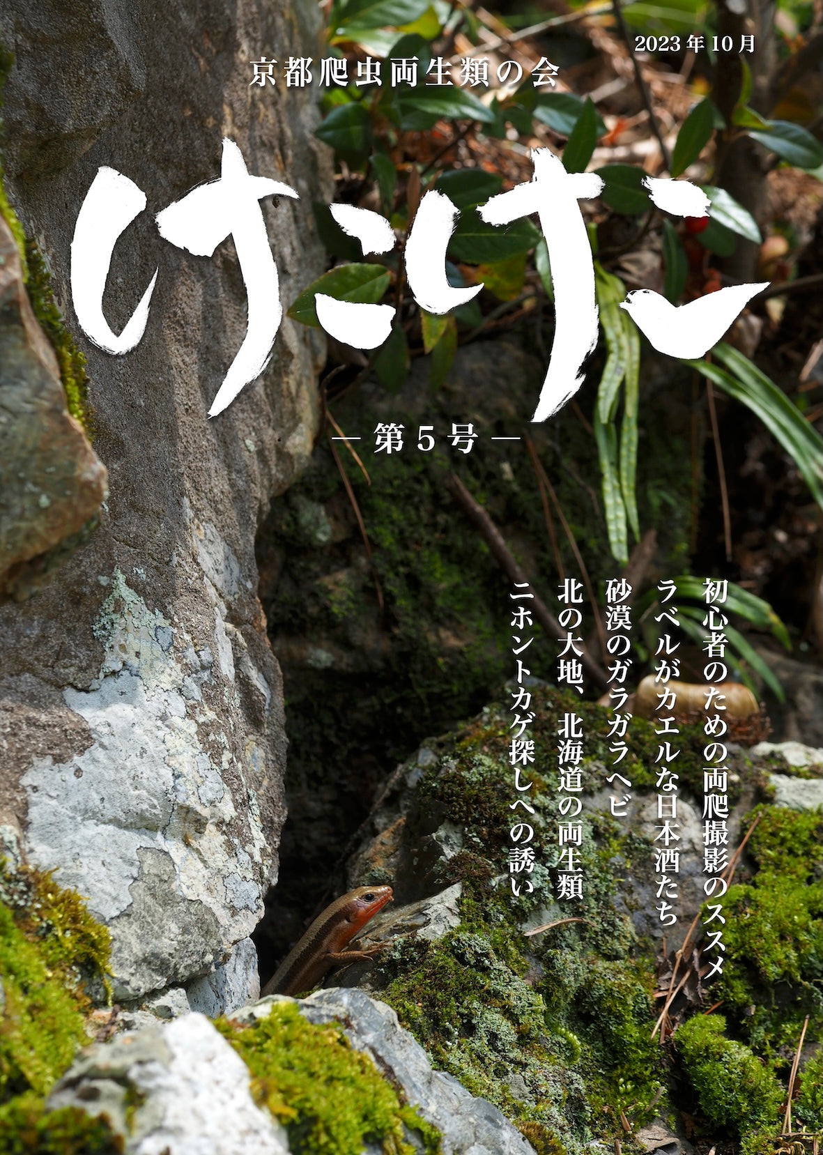 爬虫両棲類雑誌 けこけこ第5号 (PDFダウンロード）